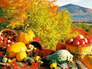 Fall Fun