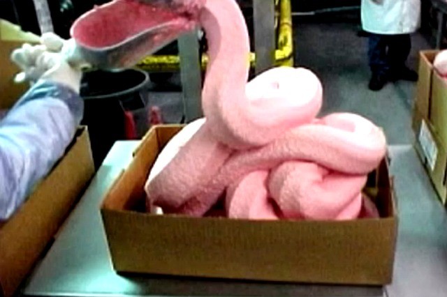 Pink Slime has Returned to School Lunches