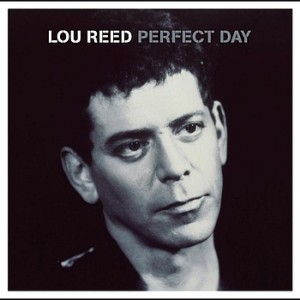 Such a “Perfect Day” to Misunderstand Lyrics