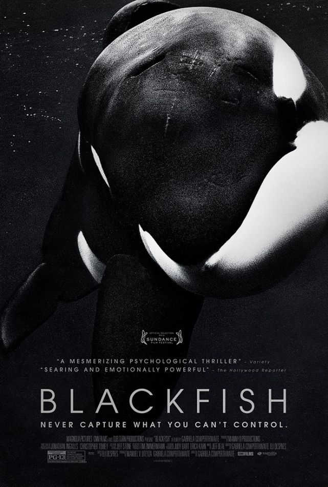 Blackfish Causes a Whale of a Problem for Seaworld