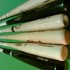 Wood Bats article pic
