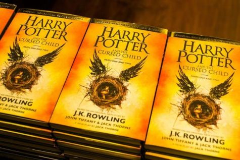 Magic New Additions to Harry Potter
