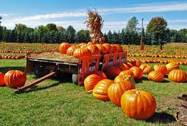 Eight Fall Festivities in the Garden State