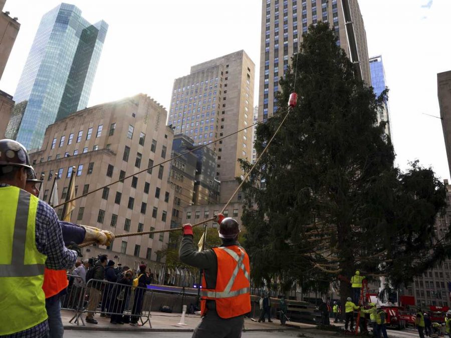 Multiple Issues Cause Christmas Tree Shortage