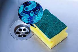 The Kitchen Sponge Dilemma