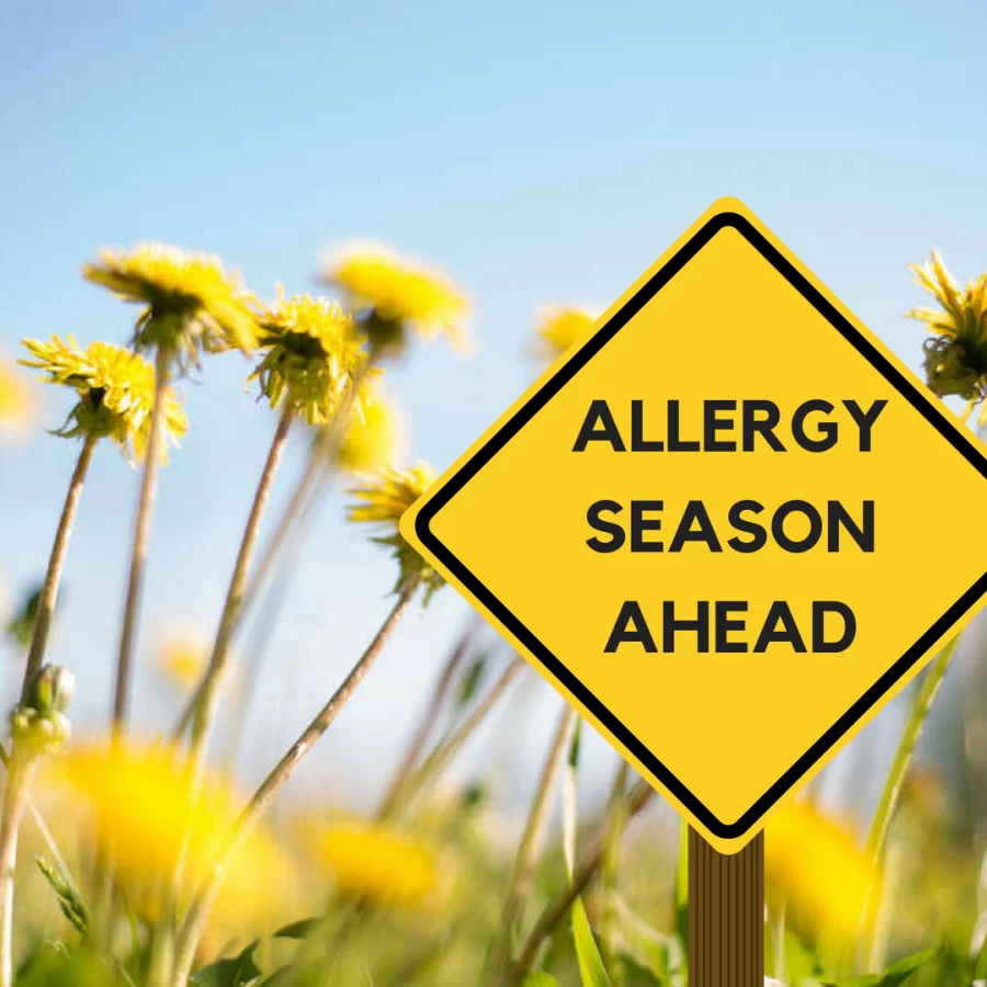 Surviving+Seasonal+Allergies