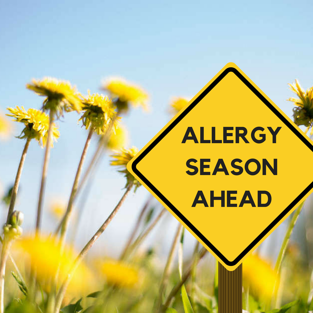 surviving-seasonal-allergies-lancer-s-point